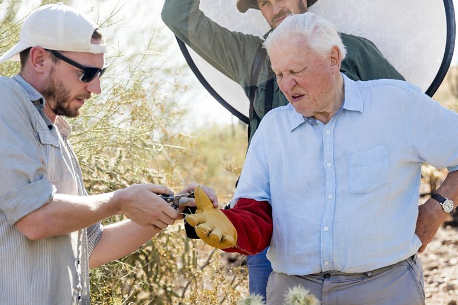 Sir David Attenborough spiked by ‘vicious spines’ of cactus in The Green Planet 