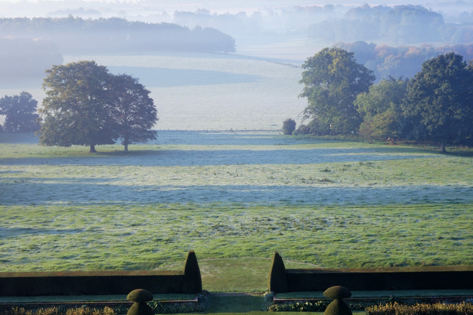 National Trust unveils plans to restore tree-lined avenues at stately homes 