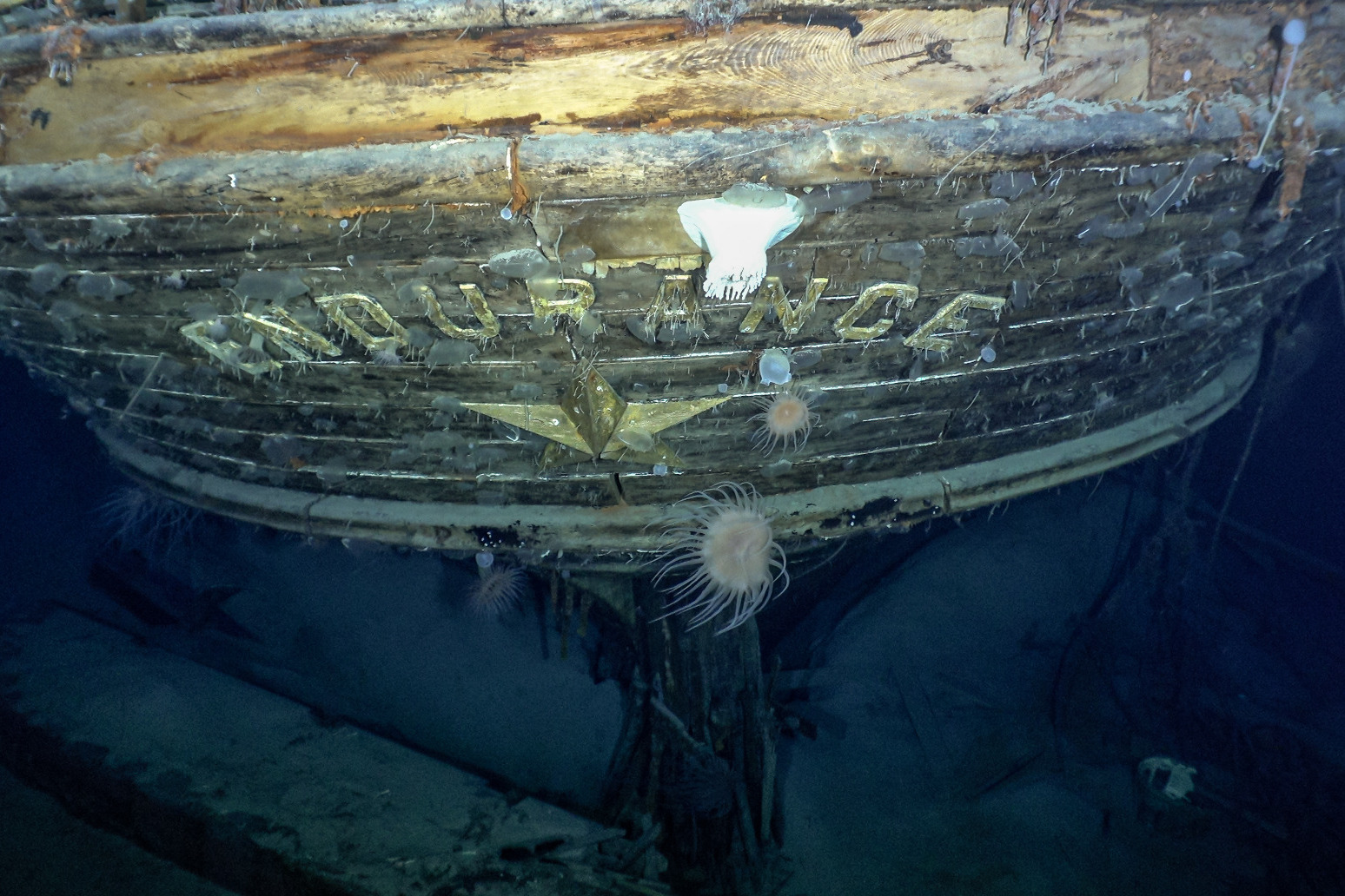 Shackleton’s lost ship Endurance found 107 years after sinking off Antarctica 