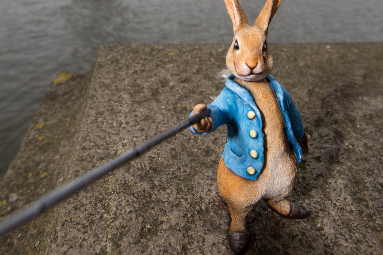 Beatrix Potter’s Peter Rabbit inspires garden initiative marking anniversary 