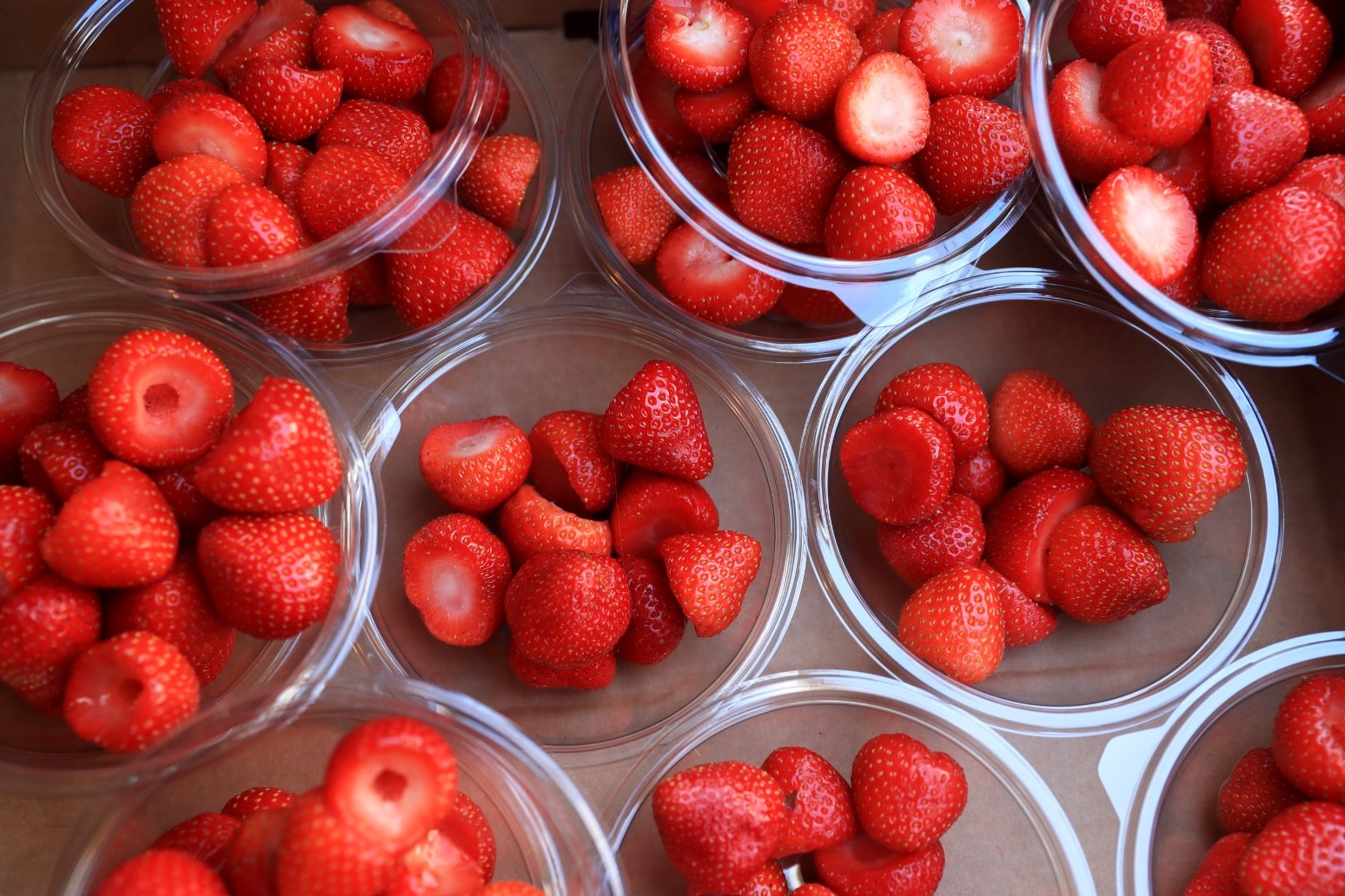 Bright weather means sweeter strawberries and 50% more than last year 