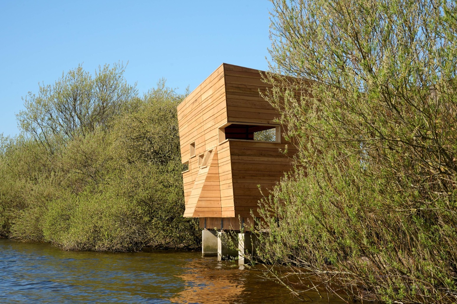 Phoenix Hide rises from the ashes of devastating fire at nature reserve 