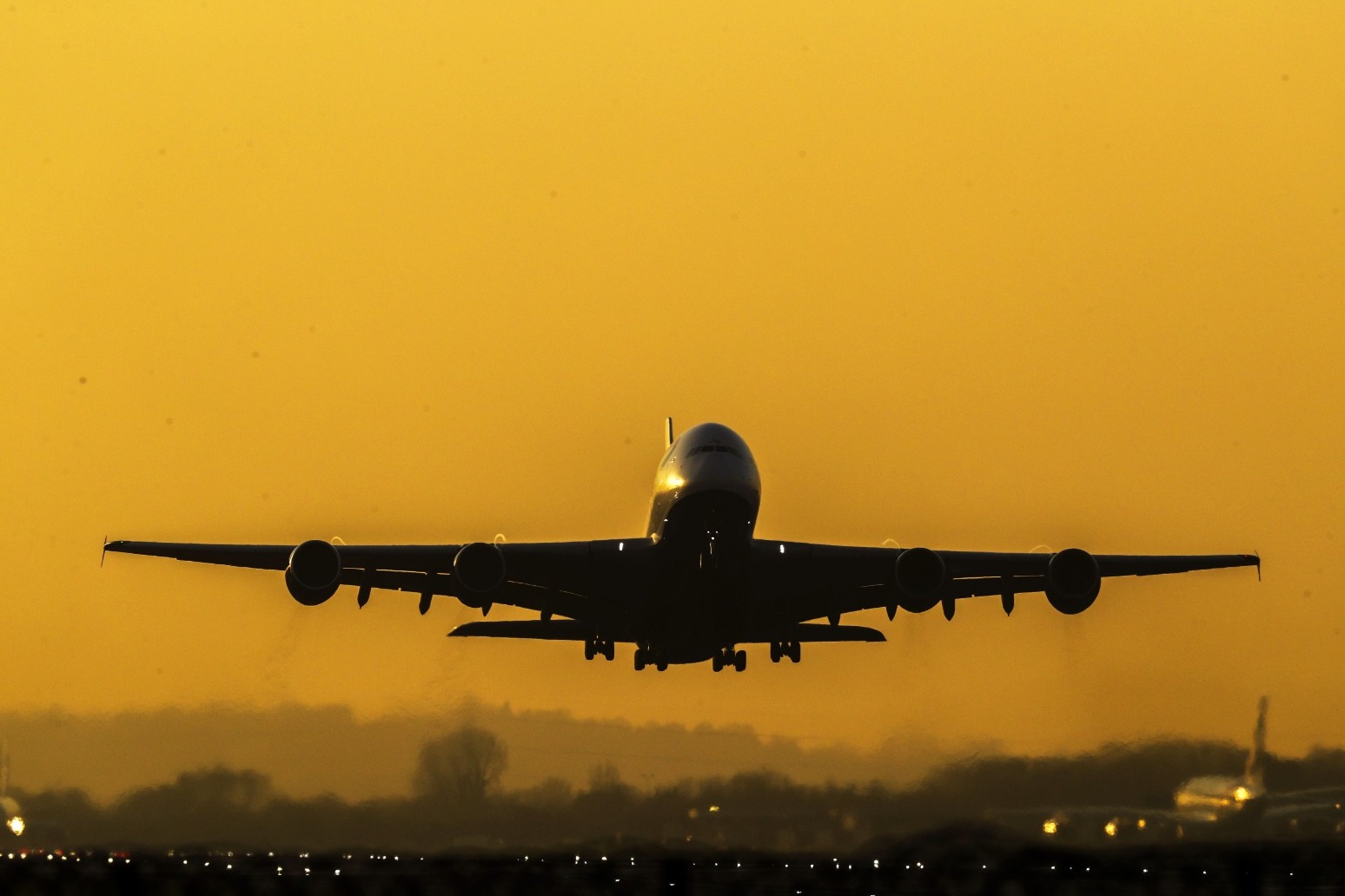 Heathrow to ask for more flight cancellations if chaos continues 
