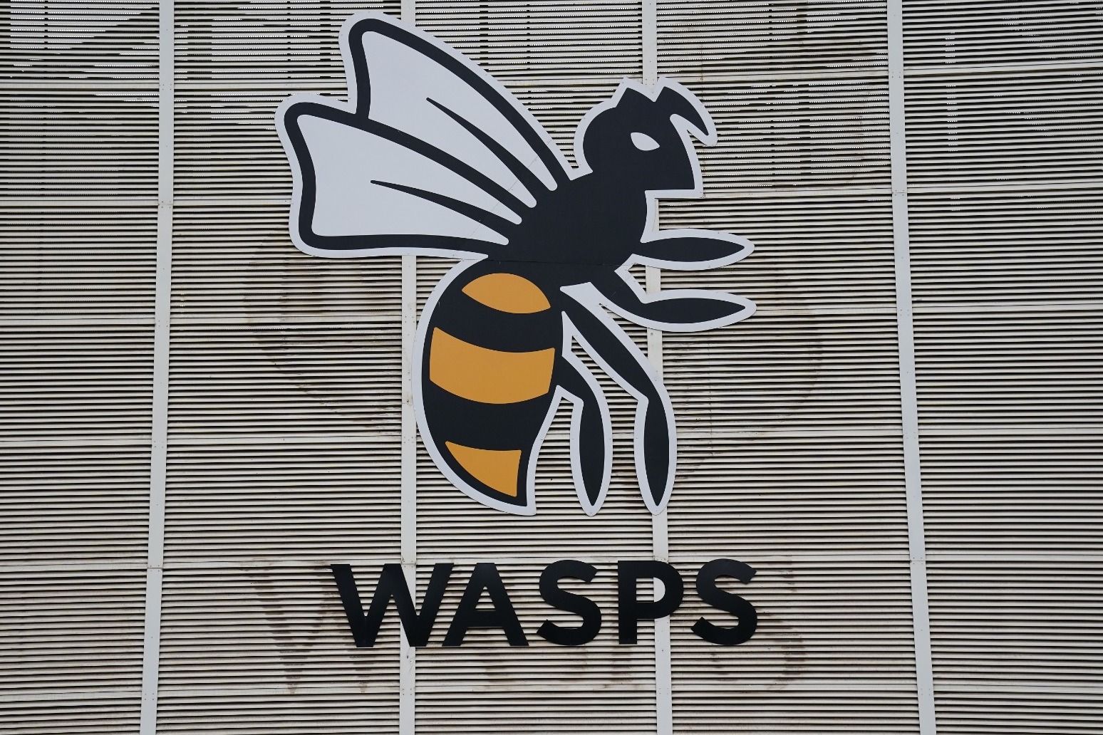 Wasps likely to enter administration after withdrawing from game against Exeter 