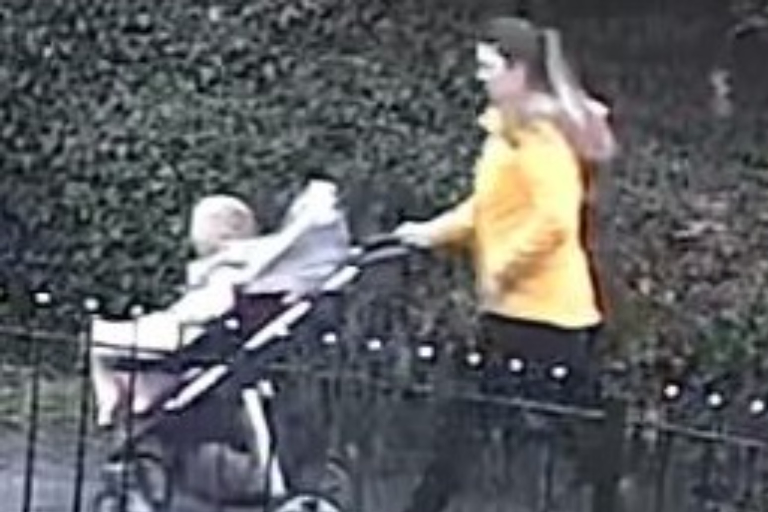 Police search for woman with pram in case of missing dog walker Nicola Bulley 